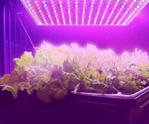 225 LED Blue + Red Indoor Hydroponic Plant Grow Light Panel with Hanging Kit X776012