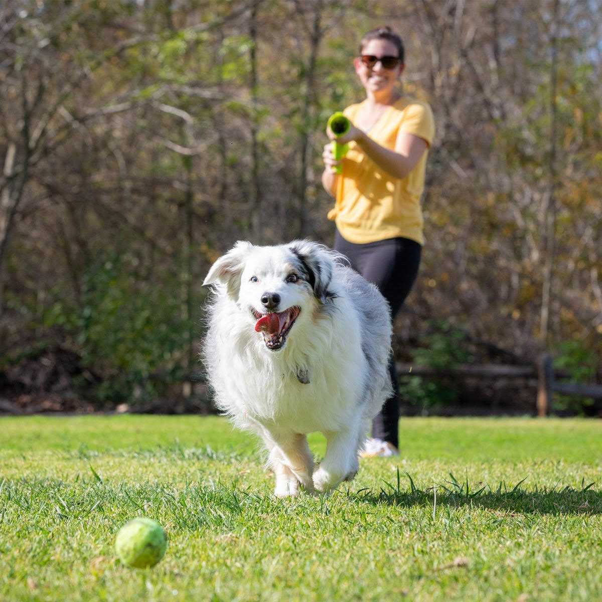 K9 Kannon Ball Launcher I287771