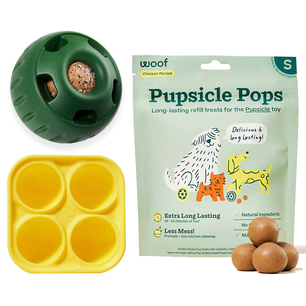 Pupsicle Starter Pack Treat Z4314