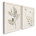 Botanical Framed Print P7223