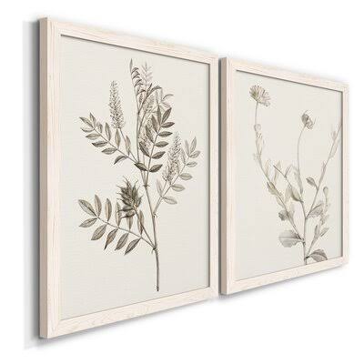 Botanical Framed Print P7223