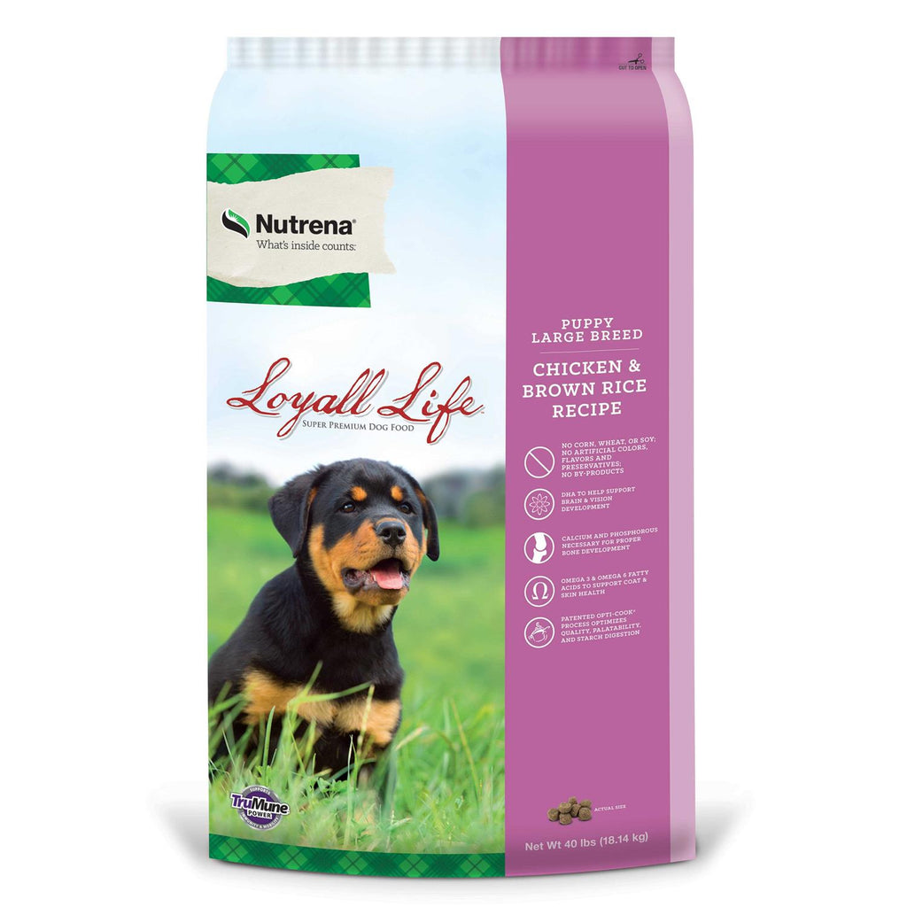 Large Breed Puppy Chicken & Brown Rice V60856