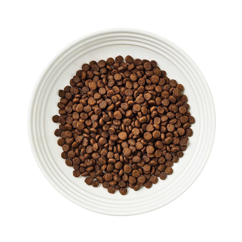 Grain Free Whitefish Recipe Dry Cat Food L823323