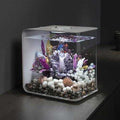 FLOW LED Pet Supplies M7279
