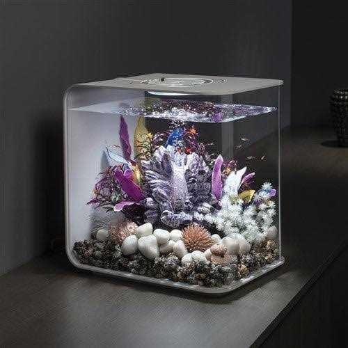 FLOW LED Pet Supplies M7279