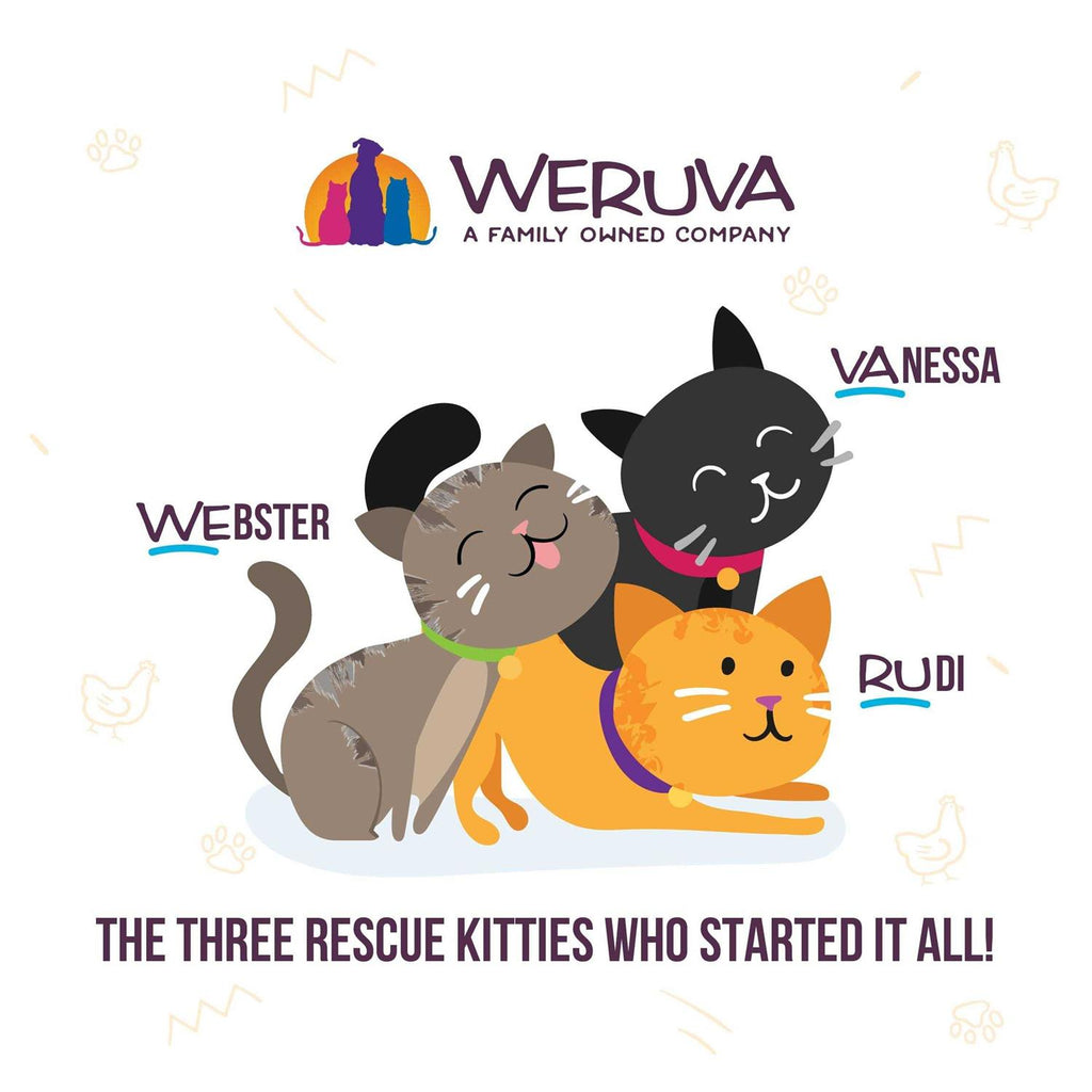 Wet Cat Food Variety Pack L46573