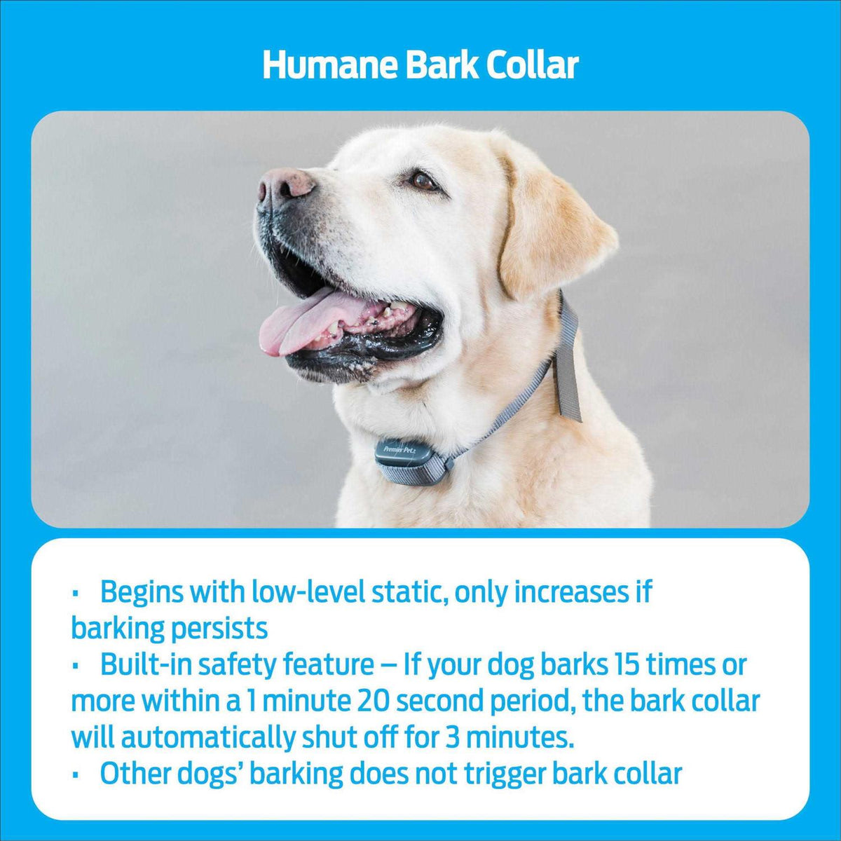 Rechargeable Bark Collar G4811