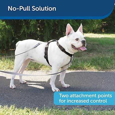 3 in 1 Harness with Leash B818815