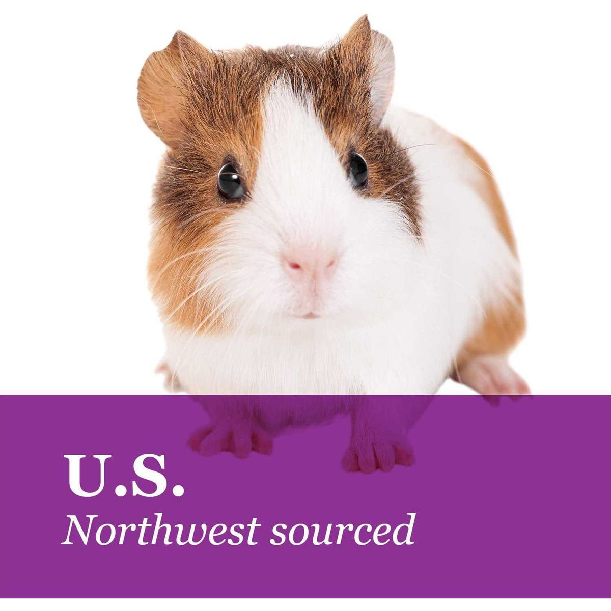 Natural Timothy Hay Pet Supplies Q956
