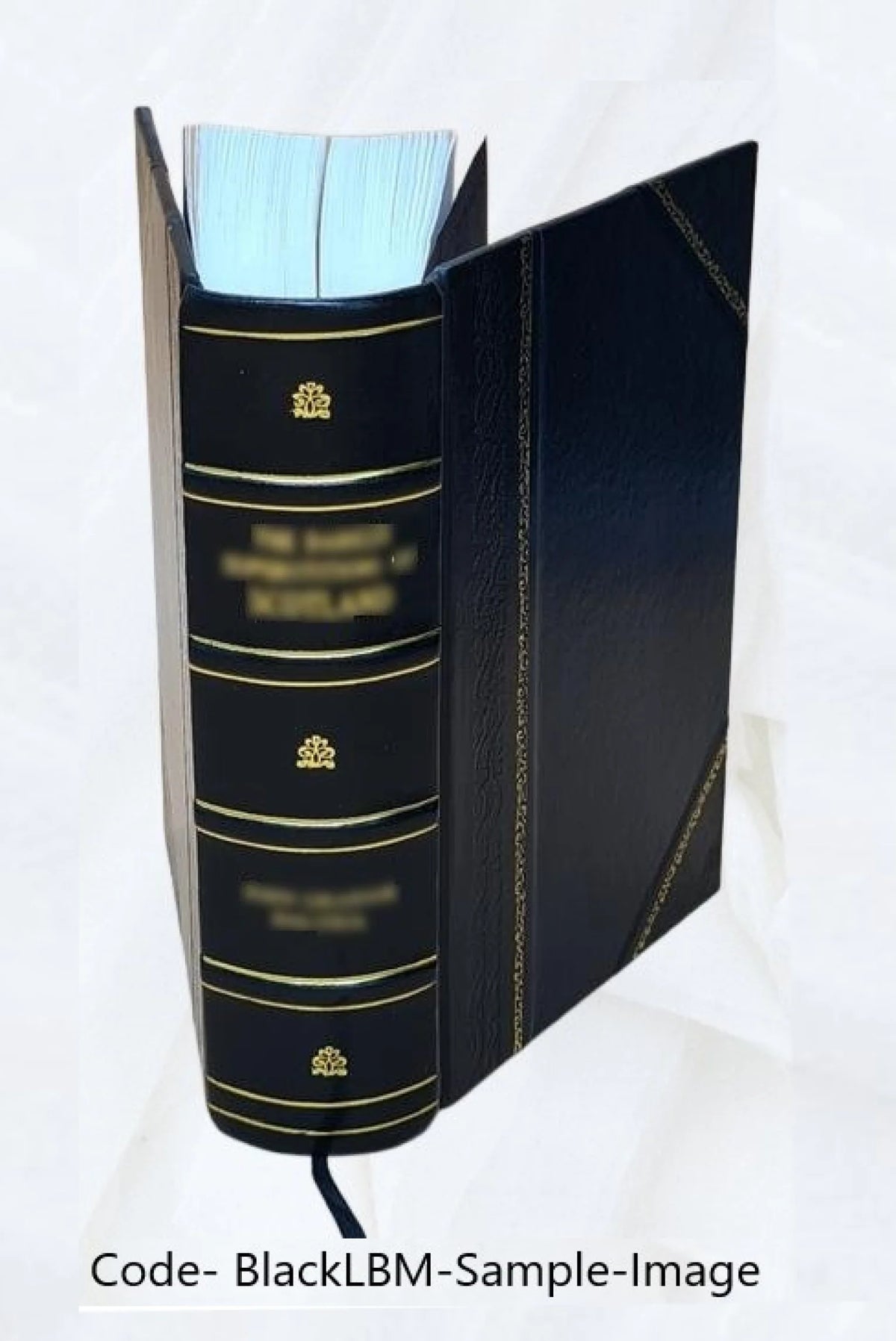 Thermodynamik Und Kinetik Der Korper Vol - II U1589