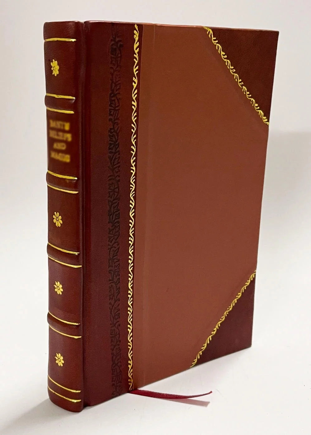 Leather Bound Book O23854