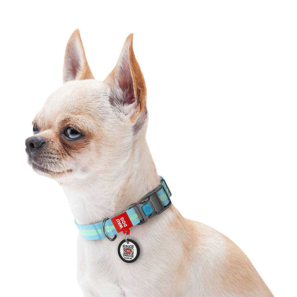 Glow in the Dark Nylon Dog Collar Blue F6224