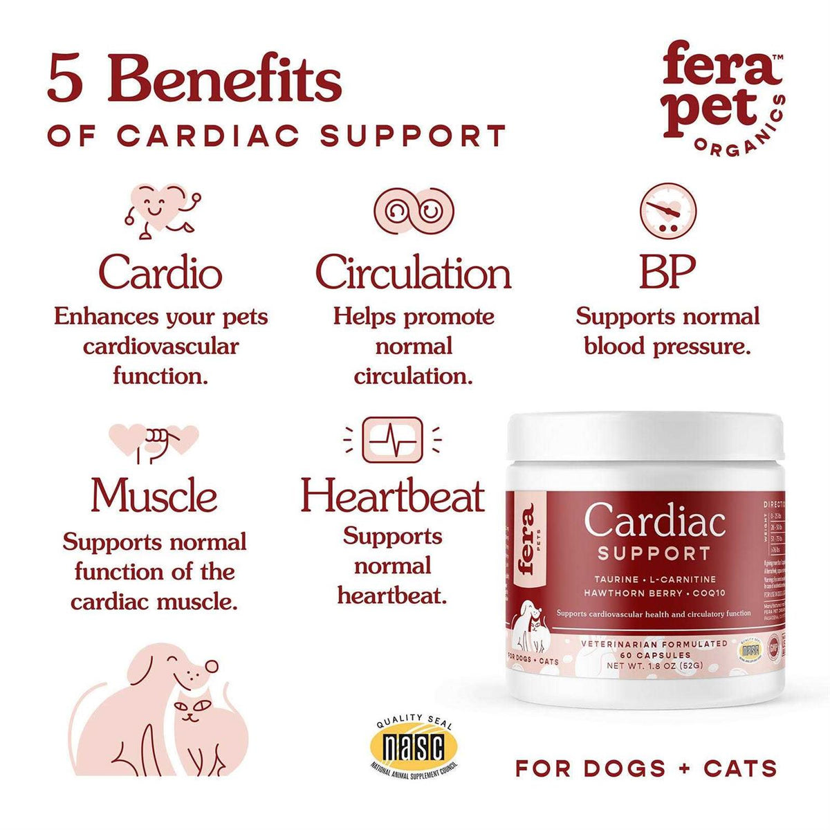 Cardiac Support for Cat and Dog D532780