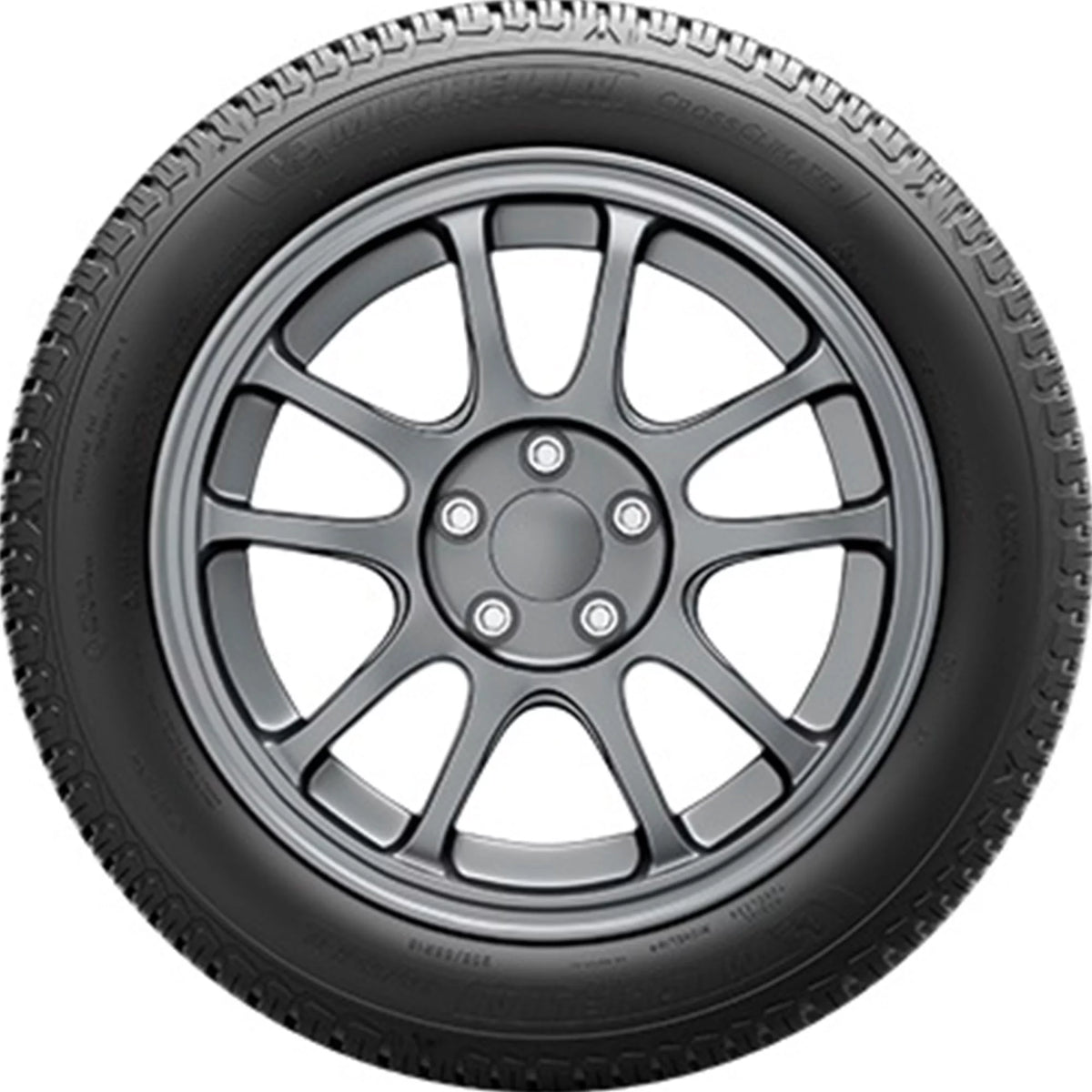 All Weather 205/55R16 91V Tire C71558