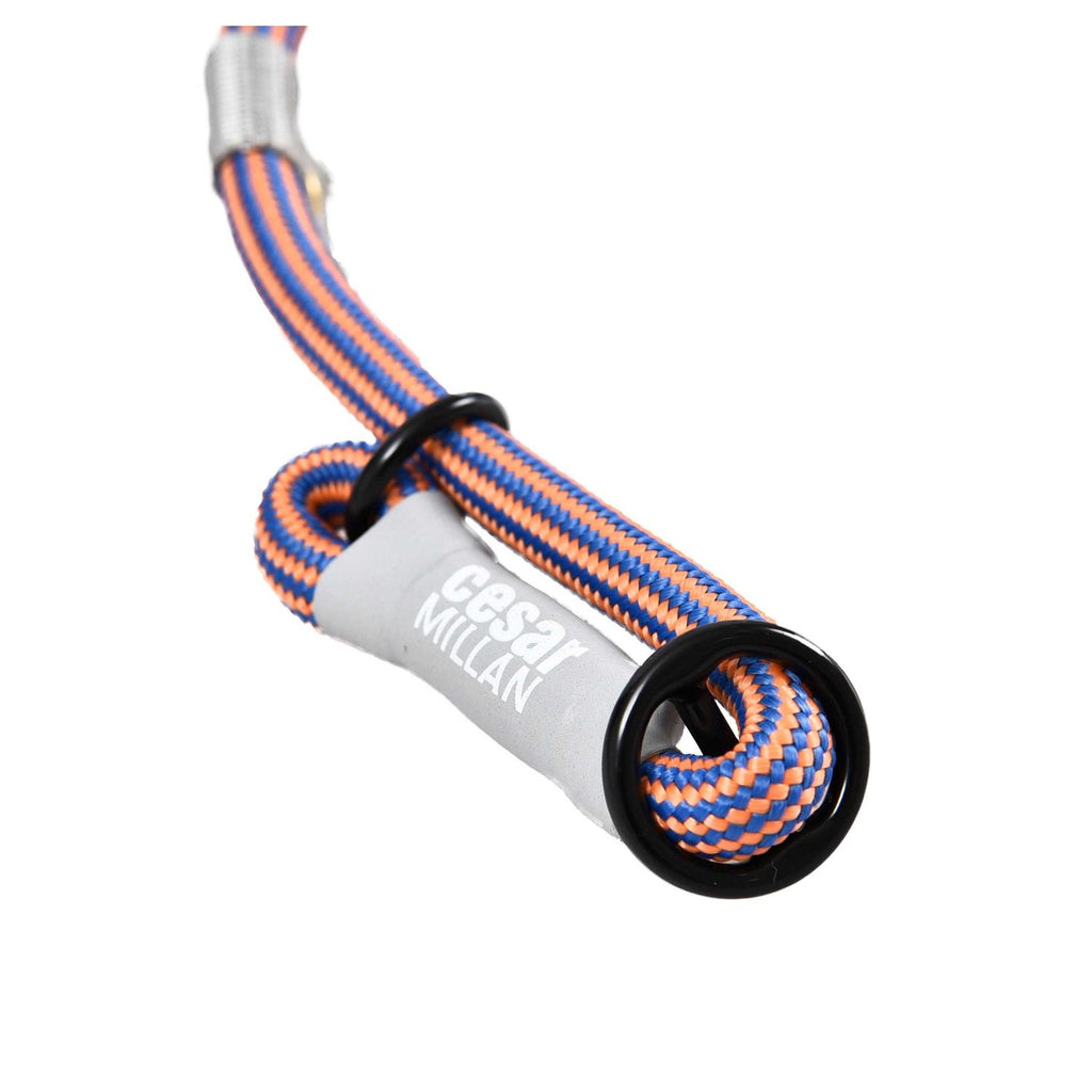 2-in-1 Slip Collar Dog Training Lead & Collar S5706