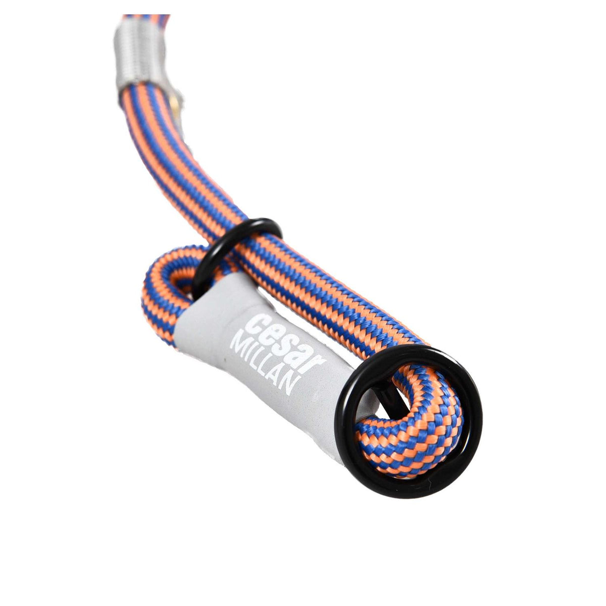 2-in-1 Slip Collar Dog Training Lead & Collar S5706