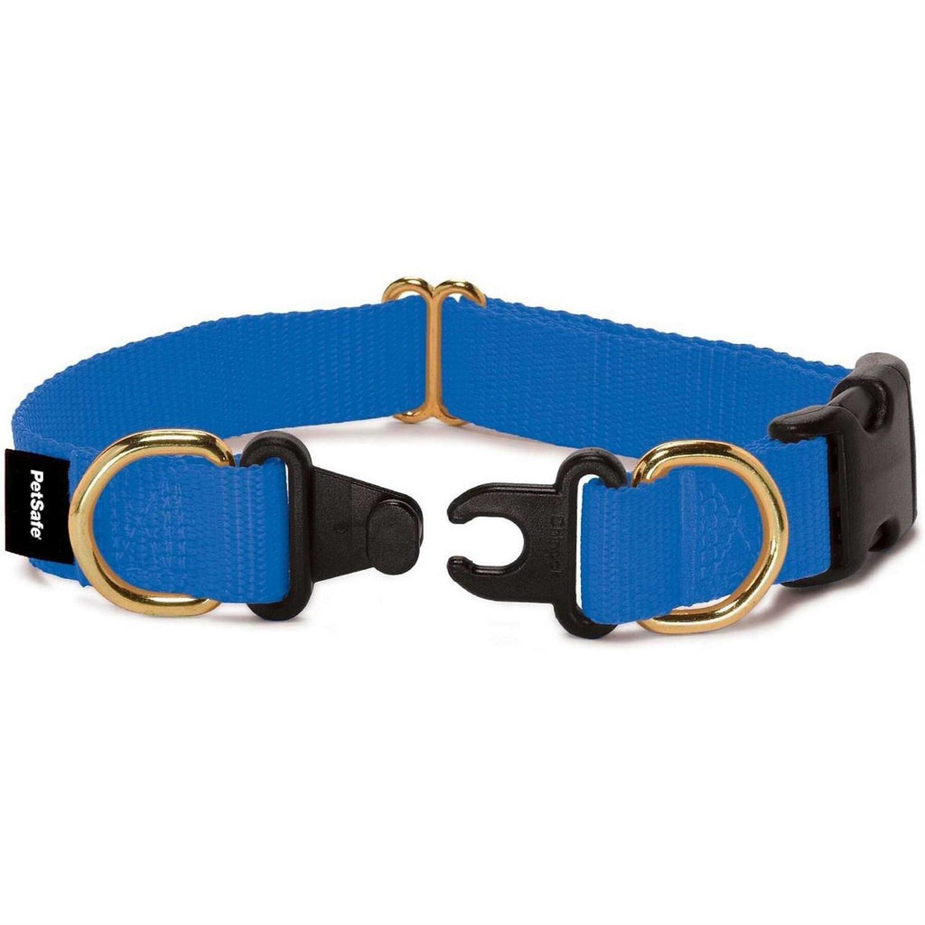 Break-Away Dog Collar Y3625