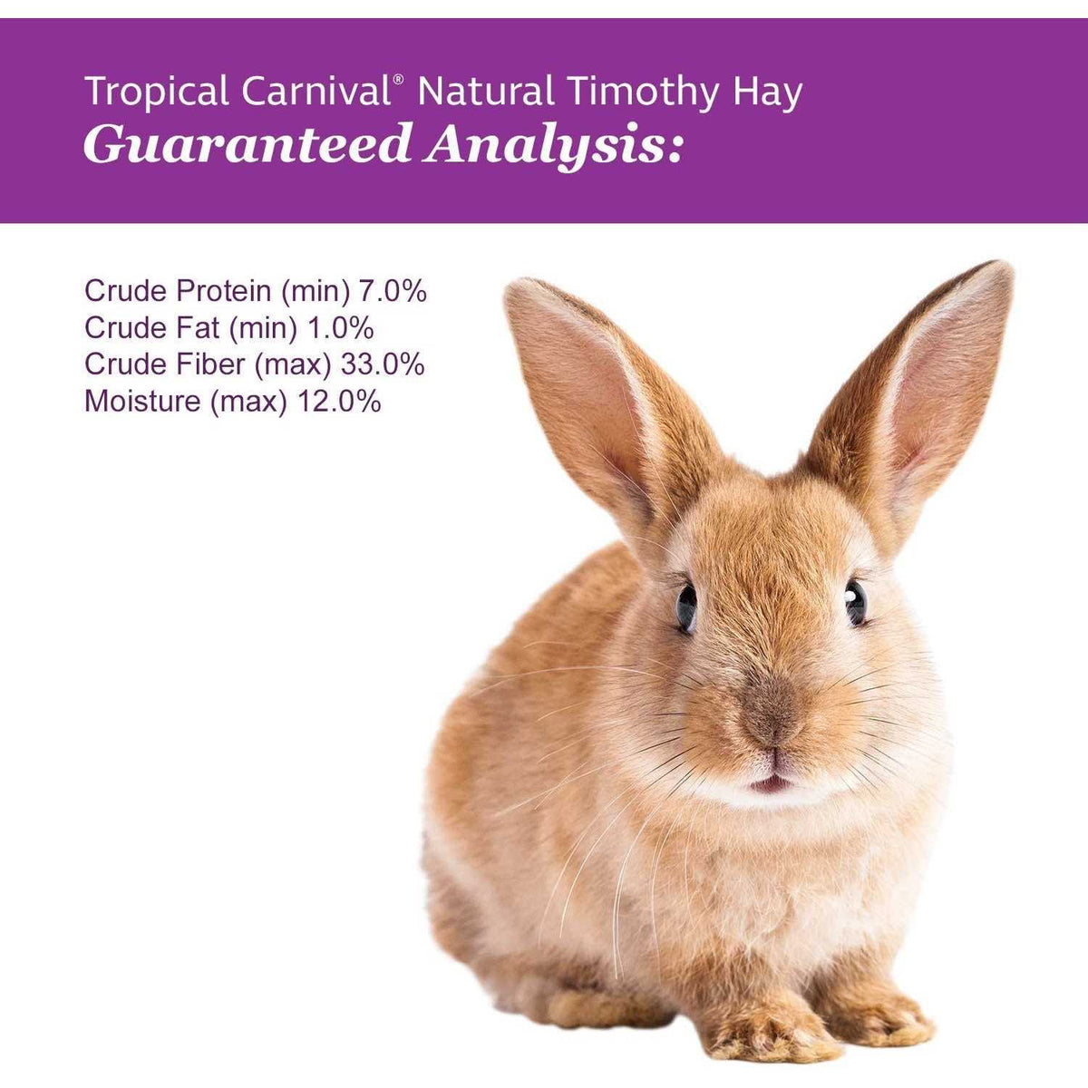 Natural Timothy Hay Pet Supplies Q956