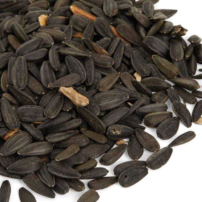 Black Oil Sunflower Seed Wild Bird Food M932
