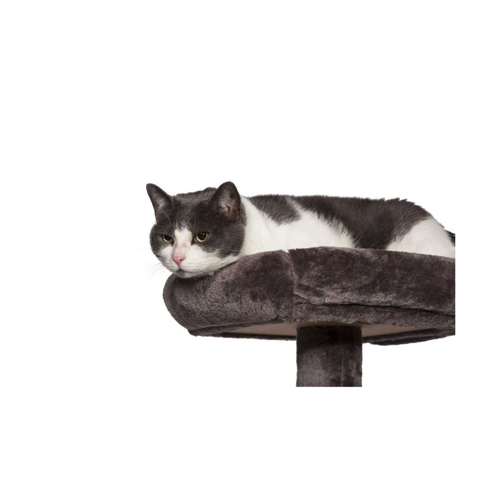 Cat Tower K210040