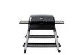 Graphite 3-Burner Propane Gas Grill with Stand P812