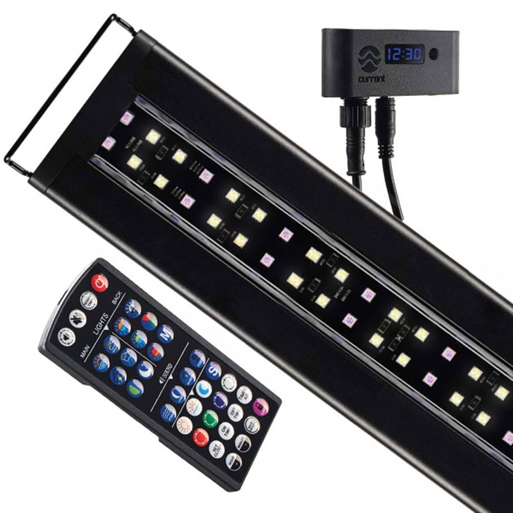 Serene Sun Freshwater LED with Wireless 24 Hour Remote Control (24-36 inch) Y64233