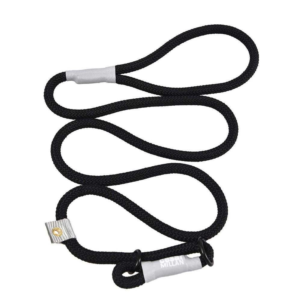 2-in-1 Slip Collar Dog Training Lead & Collar S5706