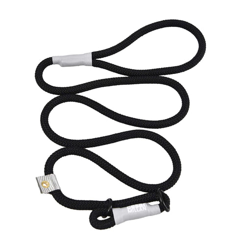 2-in-1 Slip Collar Dog Training Lead & Collar S5706