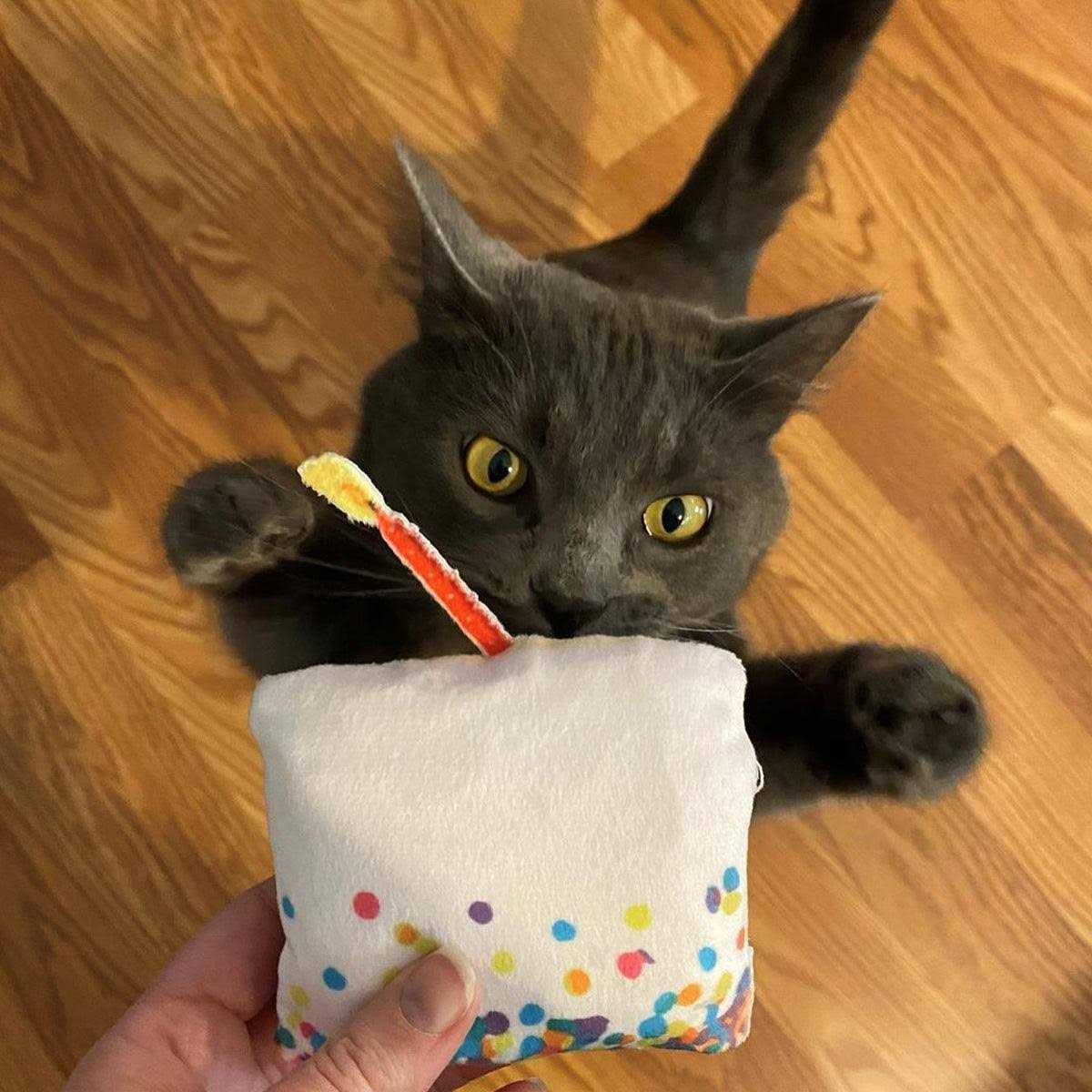 Refillable Cat Toy A814091