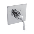 Thermostatic Trim Plate with Handle M305802