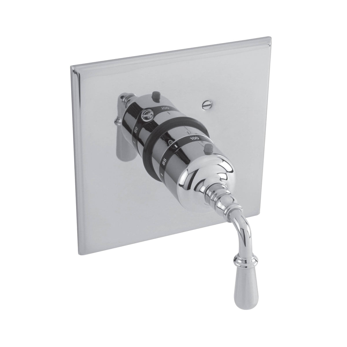 Thermostatic Trim Plate with Handle M305802