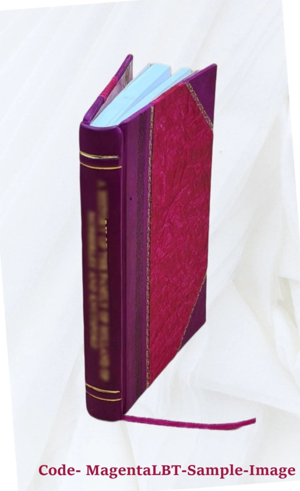 Radio and electronic dictionary Leather Bound A428