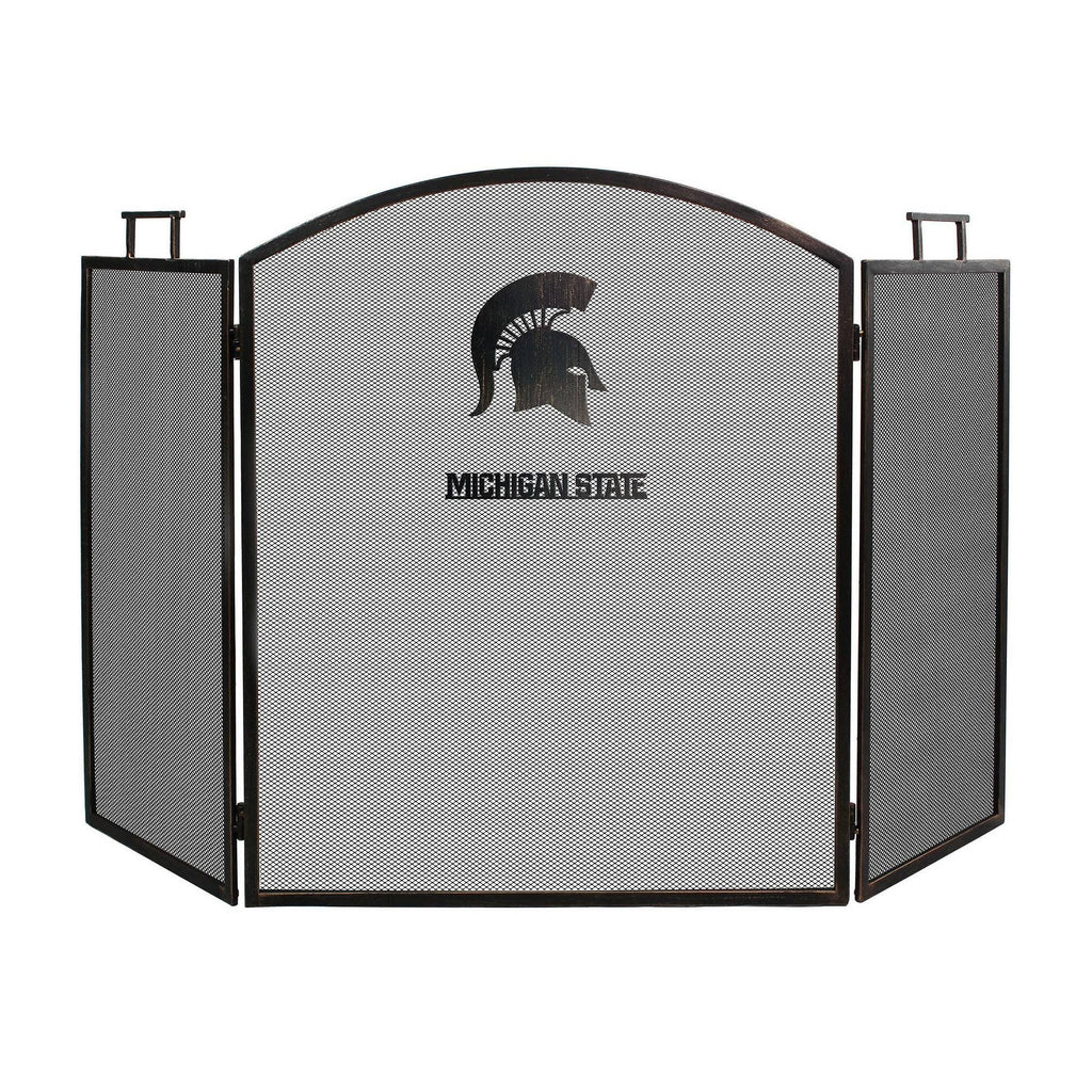 Fireplace Screen F765490