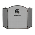 Fireplace Screen F765490