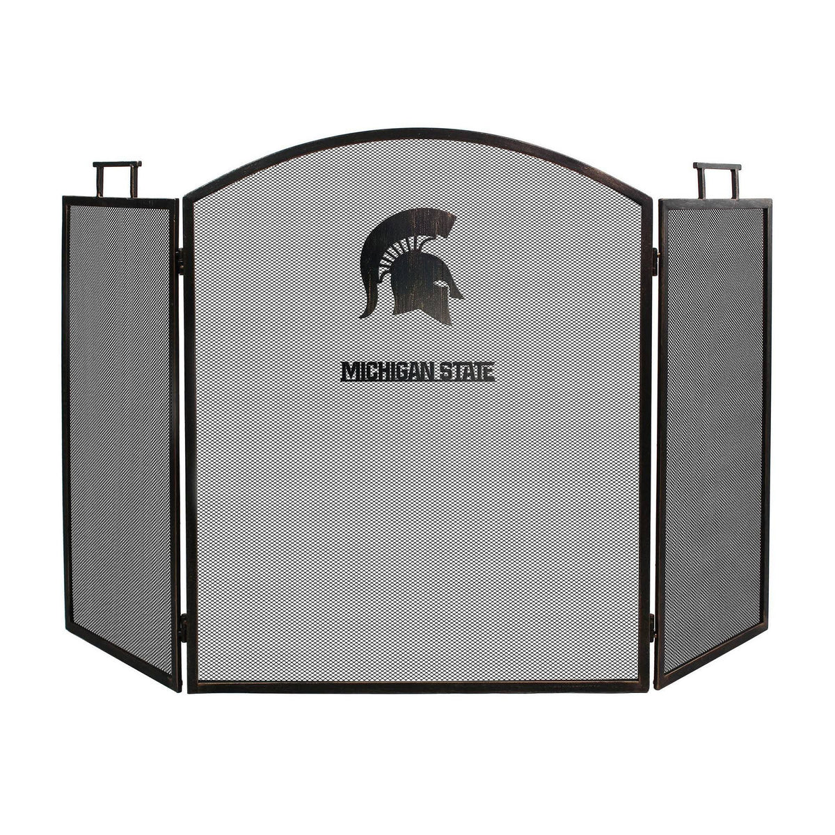 Fireplace Screen F765490
