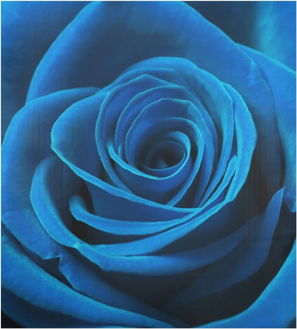 Blue Rose Magnetic Dishwasher Cover 23 x 26 Inch J296