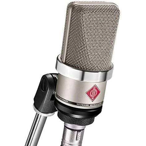 Nickel Condenser Microphone D5816