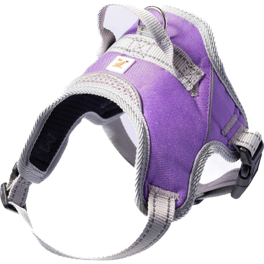 Hart Harness B2570