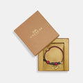 Boxed Pet Collar In Signature Canvas M31203