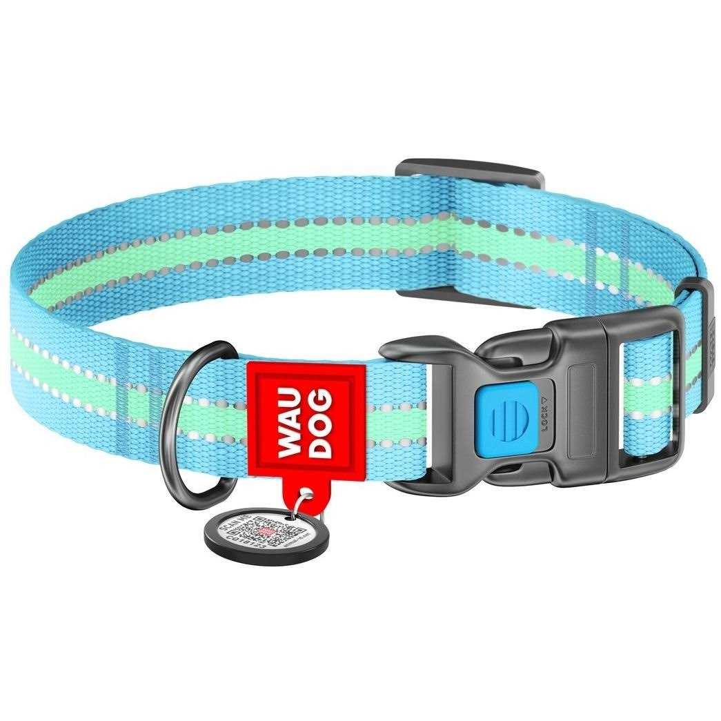 Glow in the Dark Nylon Dog Collar Blue F6224