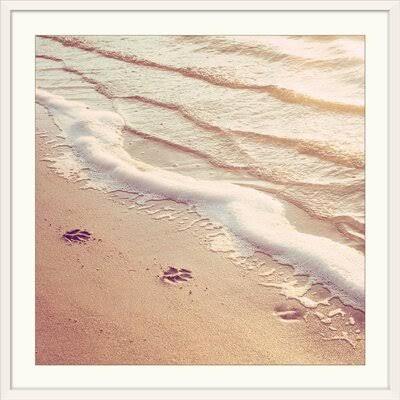 White Frame Photographic Print Y56177