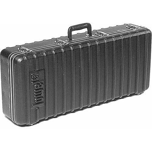 Continuous Light Kit with Case D891594