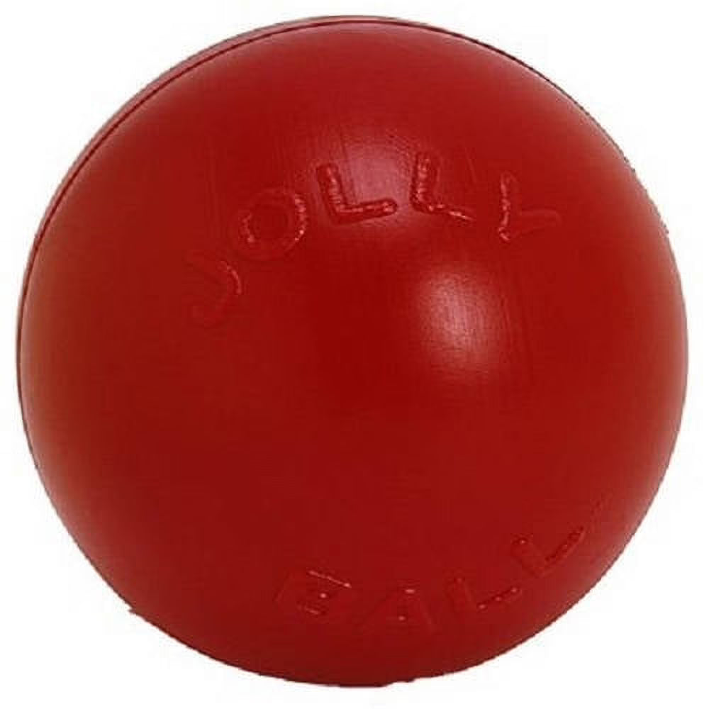 Red 10 inch Hard Plastic Chew Toy for Dogs O669
