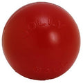 Red 10 inch Hard Plastic Chew Toy for Dogs O669