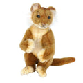 Lion Cub 11 inch J339123