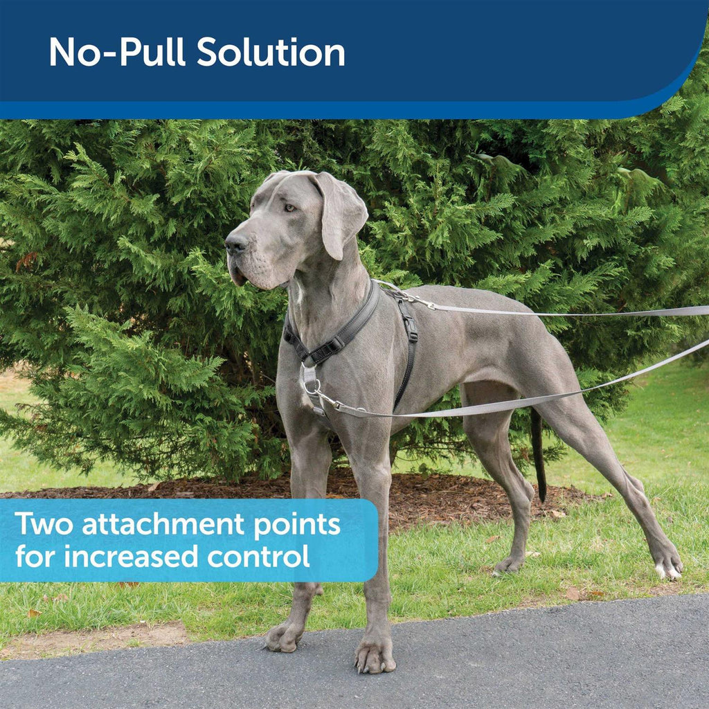 3 in 1 Harness with Leash B818815